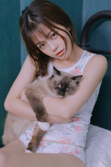 丑闻 电影